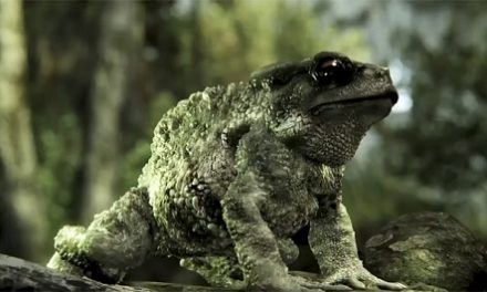 Sorpresa, sorpresa Crysis 3 se verá más que bien en la PC