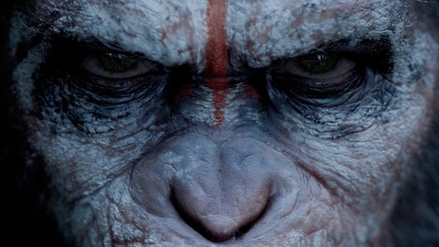 Cine 67: El Planeta de los Simios: Confrontación