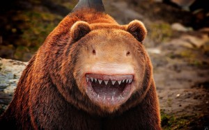 Diego Armando Gómez 2