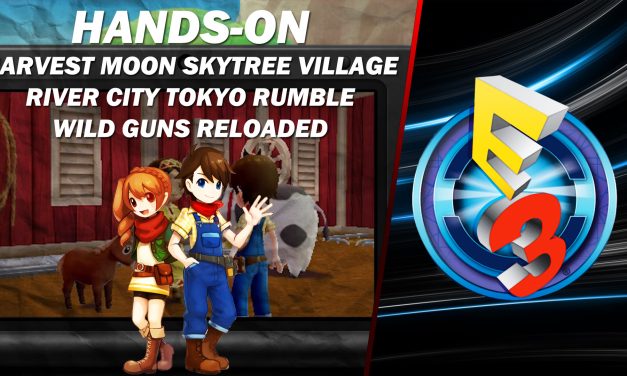 Hands-On juegos de Natsume